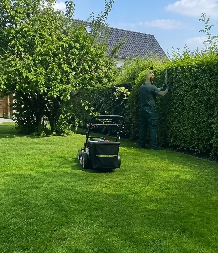 Nachher: frisch gemähter, gepflegter Rasen